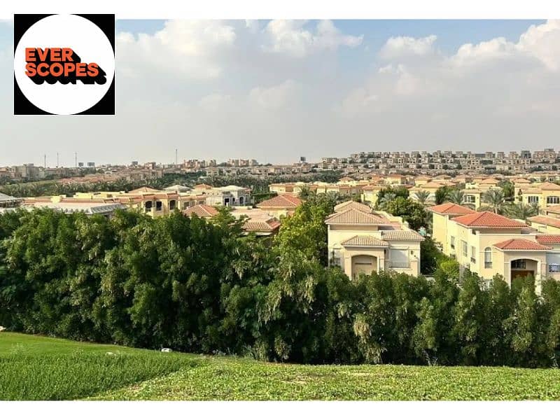 7 8310358-b0bd8o. jpg