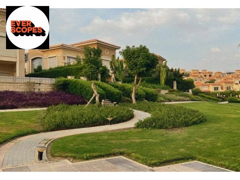 8 8310358-b5d84o. jpg