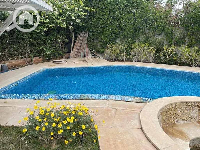 2 2e1e942f-5000-417e-94f6-5c093ae41ee2. jpg