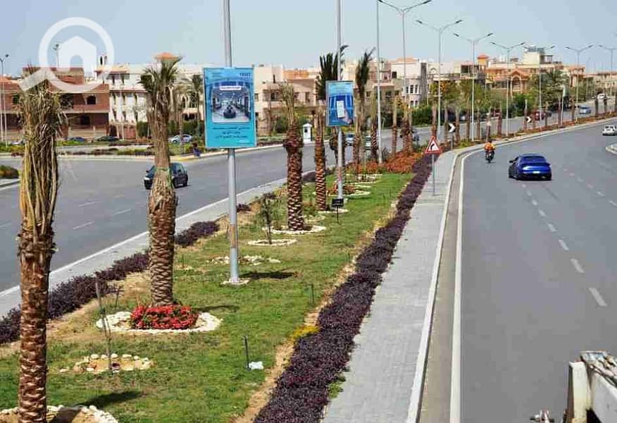 2 1752999212879202405140546574657. jpg