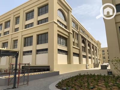 فلیٹ 3 غرف نوم للايجار في القاهرة الجديدة، القاهرة - IMG-20250123-WA0126. jpg