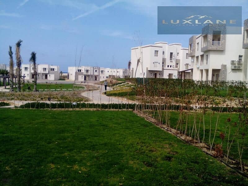 13 aa160414105944. jpg