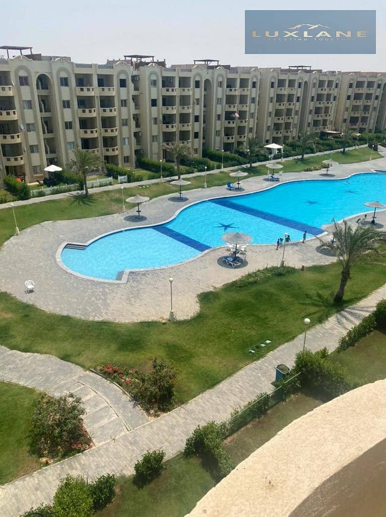 3 468097587_122107306268619634_4491824731116141314_n. jpg