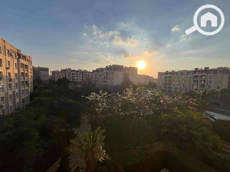 14 55a2301b-fe37-4eff-955c-39961418c8b9. jpg