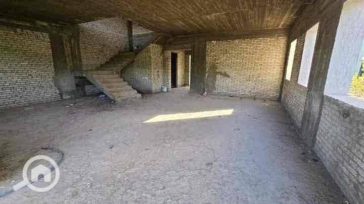 12 25f49192-7c21-47c4-aded-0fd6260a25af. jpg