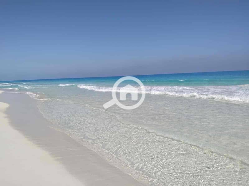 10 fa42f2f9-7998-4c2c-9aad-acd819903195. jpg