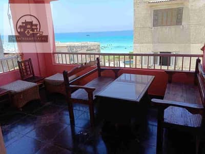 4 Bedroom Flat for Rent in Agami, Alexandria - 495. jpg 4 Bedroom Flat for Rent in Agami, Alexandria - 495. jpg