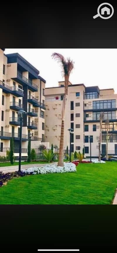 فلیٹ 3 غرف نوم للايجار في مدينتي، القاهرة - IMG_8319. png