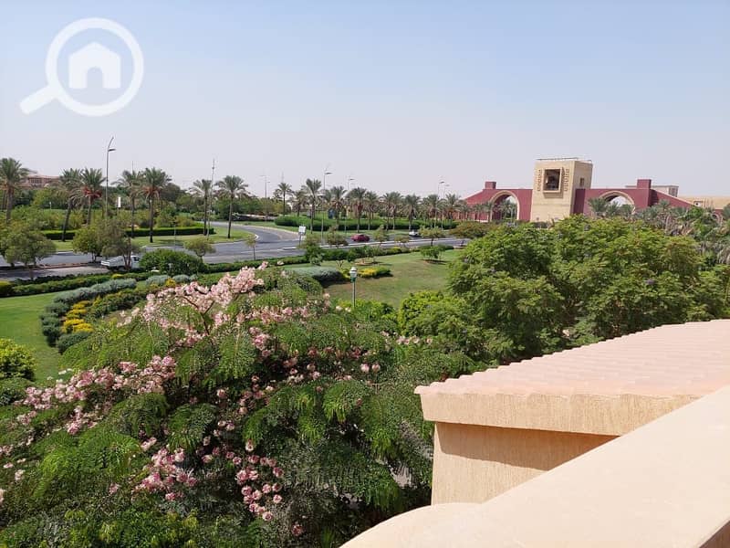 6 363922015_3099575733670552_4861691589624294360_n. jpg