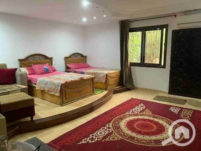 1 Bedroom Apartment for Rent in New Cairo, Cairo - 82910. jpg