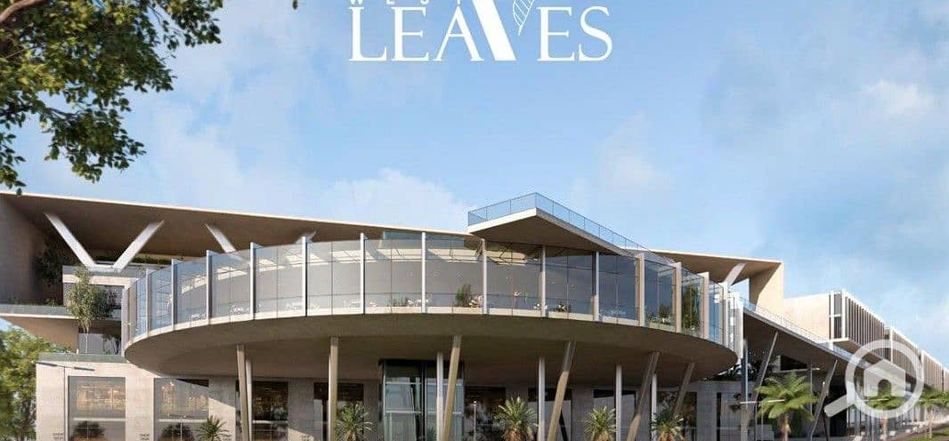 Screenshot 2025-12-01 164627. jpg