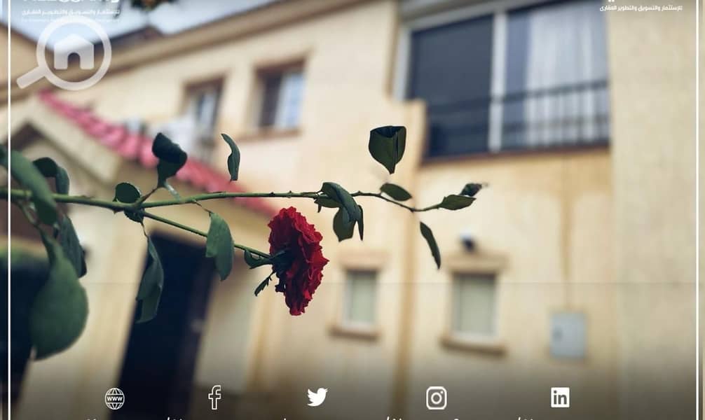 18 WhatsApp Image 2025-09-28 at 1.51. 19 PM (3). jpeg