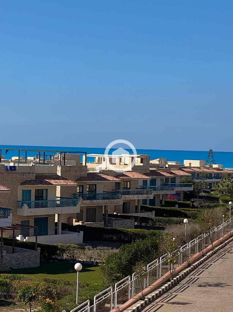 3 23844289-98e7-4bd9-b231-c2502de2873a. jpg