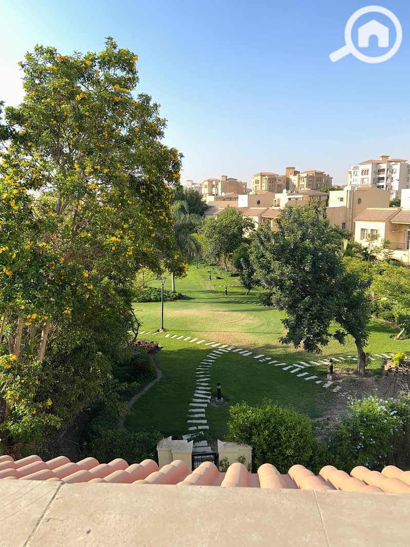 7 382def38-c416-4e6f-8cac-6c84d82d1c46. jpeg