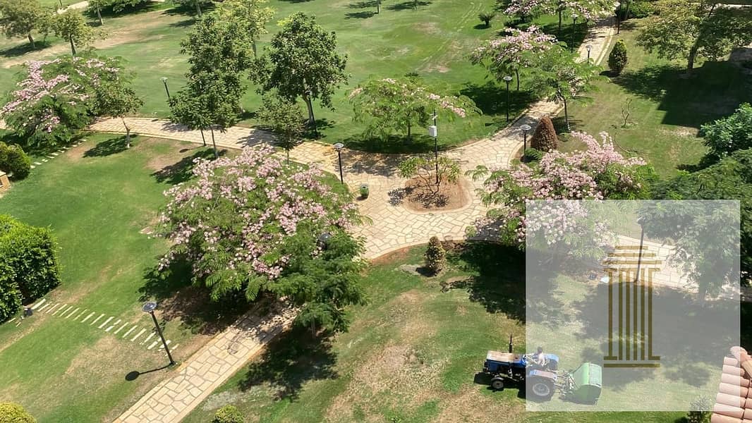 2 0cd1f246-b405-4f6d-8a21-81bd125ea0e2. jpeg