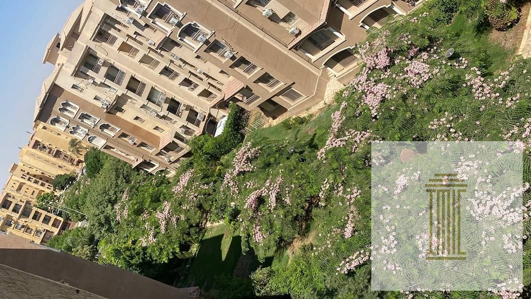 3 79362f45-8313-4d96-b326-911ab886ac4a. jpeg