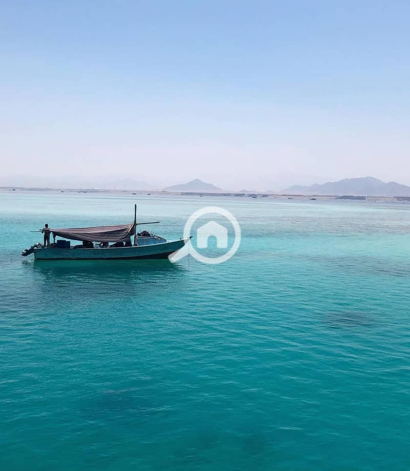 3 273636774_655004642586631_8778257934819454395_n. jpg