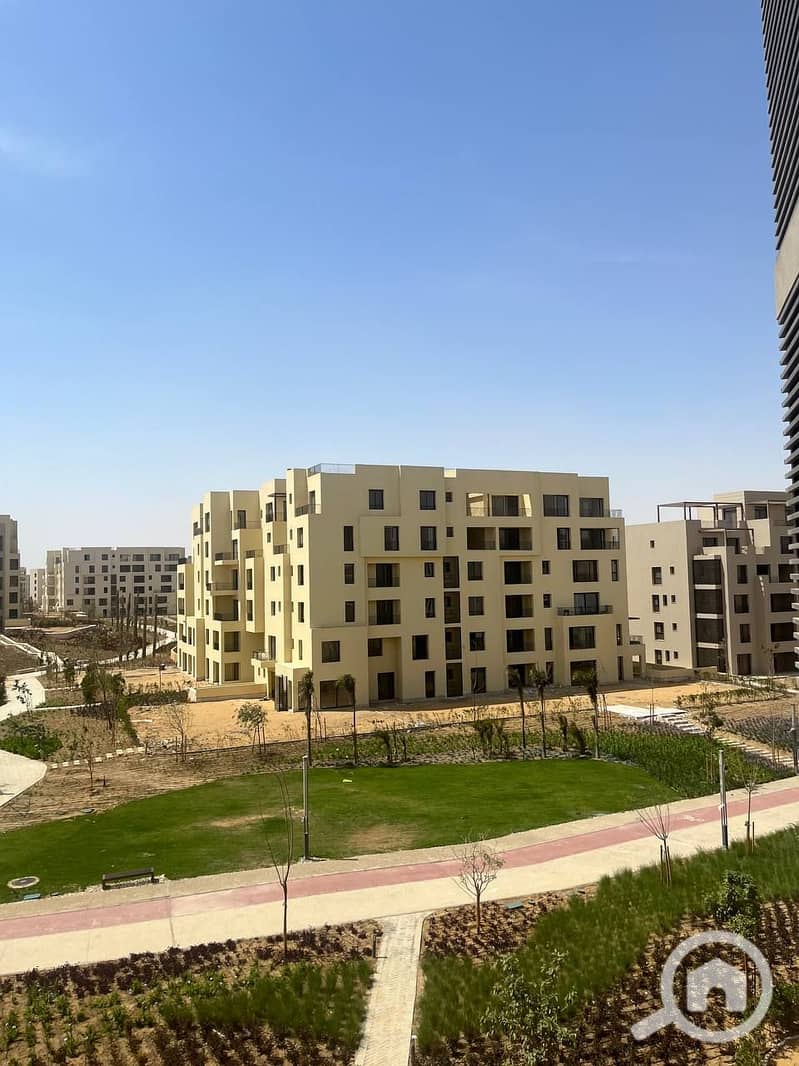 8 photo_2024-04-02_03-04-14. jpg