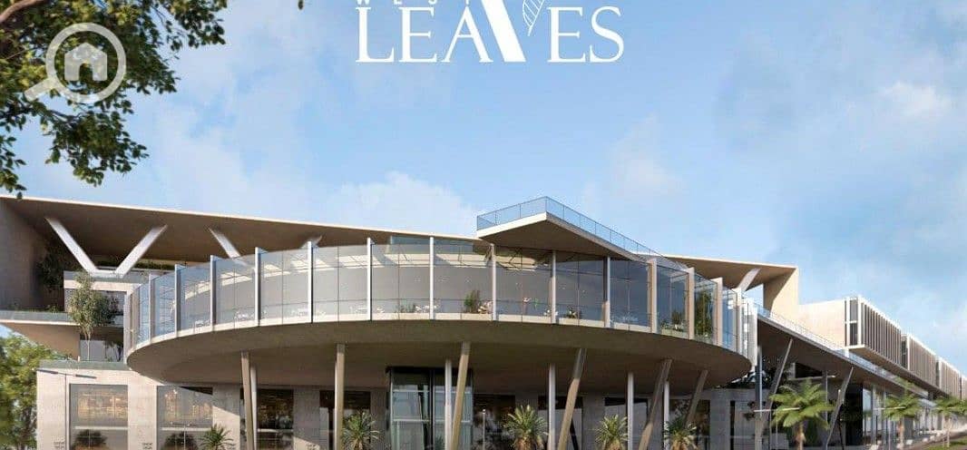 7 Screenshot 2025-12-01 164627. jpg