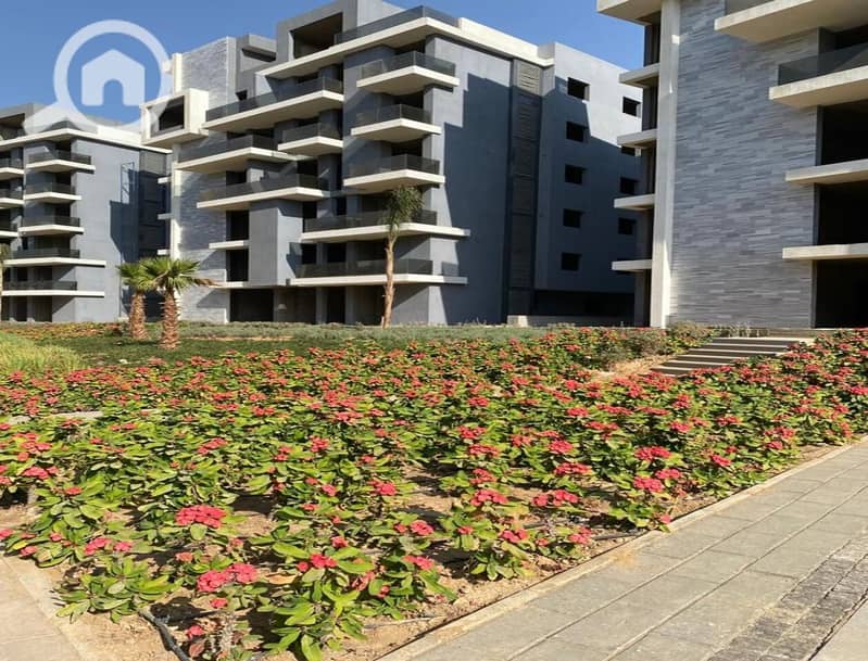 11 ccbba7a7-8415-4d61-ae21-df86cc95d63a. jpg