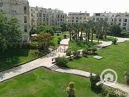 4 WhatsApp Image 2025-10-14 at 12.43. 20 PM (3). jpeg