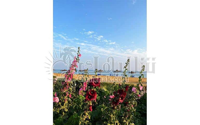 8 شالية-للبيع-قرية-كورونادو-العين-السخنة-chalet-for-sale-coronado-resort-ain-sokhna- (4). JPG