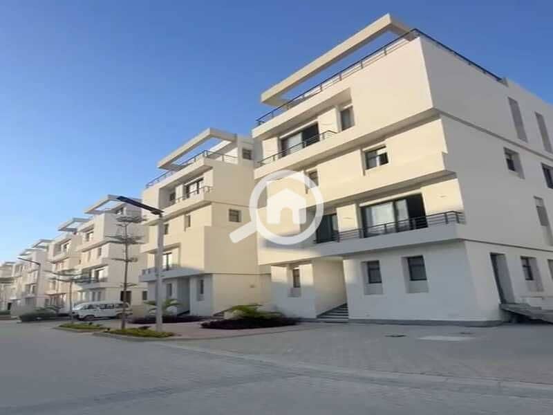 7 245ea469-d4e4-4479-82da-bccc748aed7d. jpg