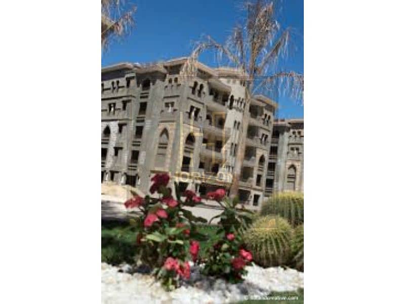 9 images (20). jfif. jpg