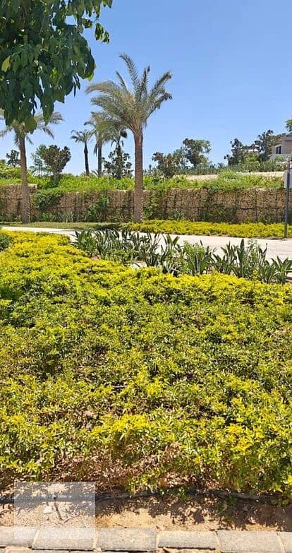 14 WhatsApp Image 2025-07-28 at 2.16. 08 PM. jpeg