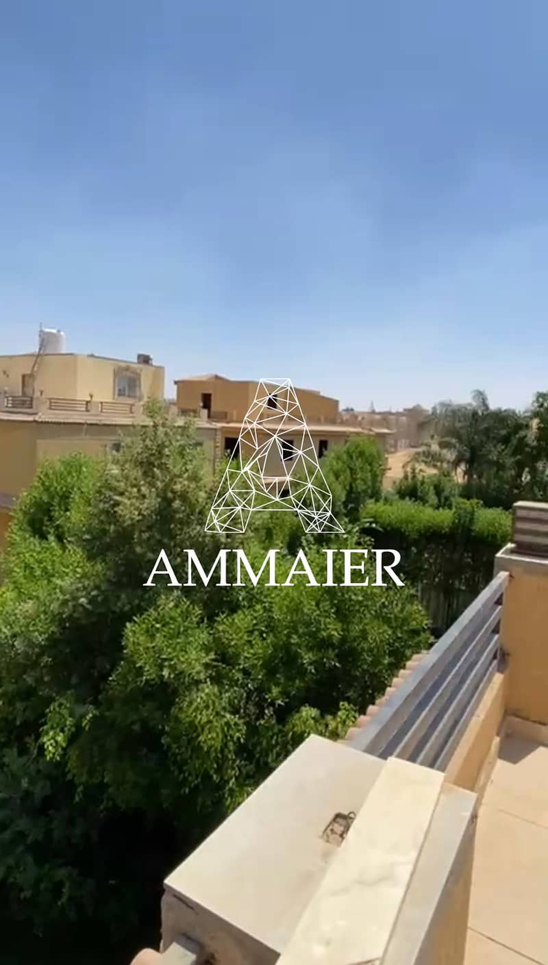 10 WhatsApp Image 2025-07-17 at 19.37. 47_f51dcce2. jpg