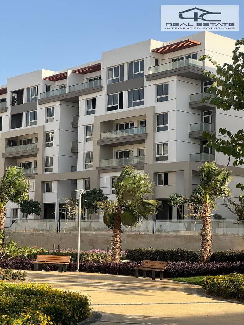 5 WhatsApp Image 2024-10-30 at 2.31. 50 PM (1). jpeg