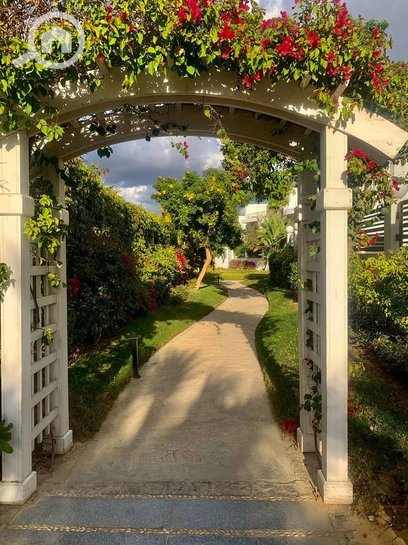 16 WhatsApp Image 2024-08-19 at 15.06. 34_38b86de2. jpg