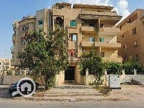 8 117620798-400x300. jpeg