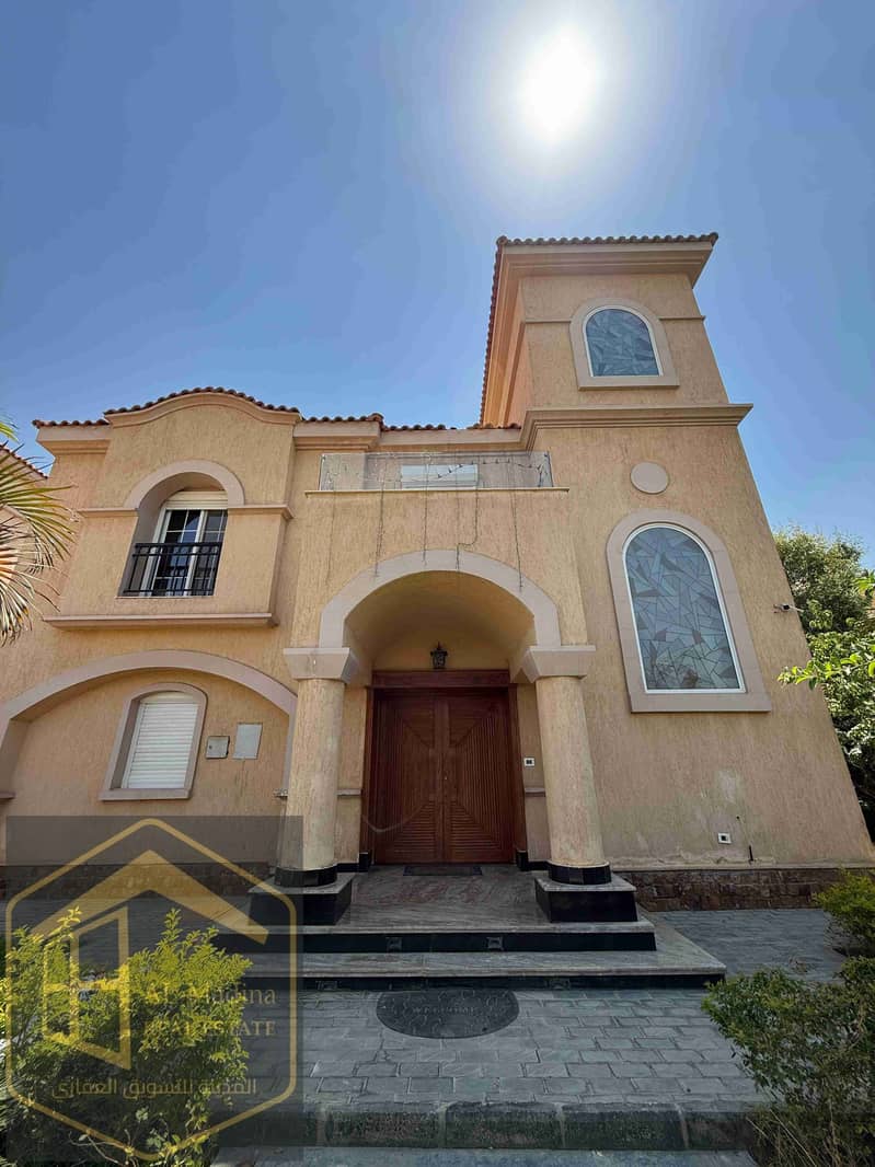 1000483311. jpg 1000483311. jpg