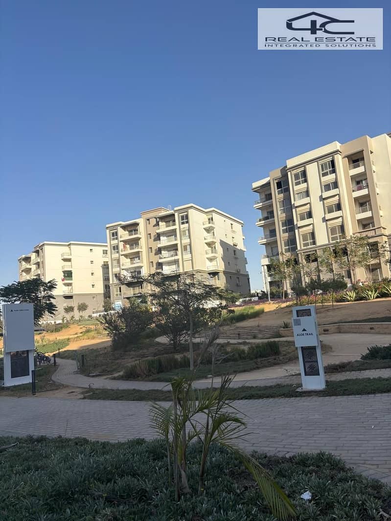 8 WhatsApp Image 2024-10-30 at 2.36. 31 PM (1). jpeg