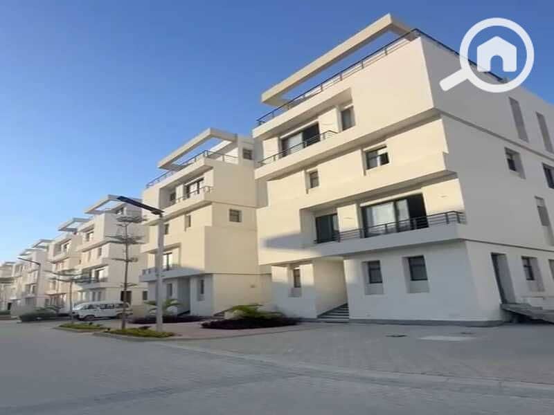 7 245ea469-d4e4-4479-82da-bccc748aed7d. jpg