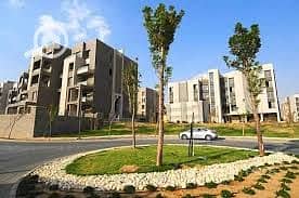 9 images (16) (3). jpeg