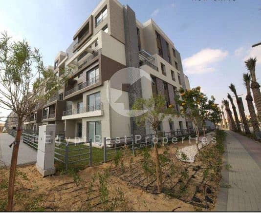 2 577795286_25314661658170945_6723940252794066415_n. jpg