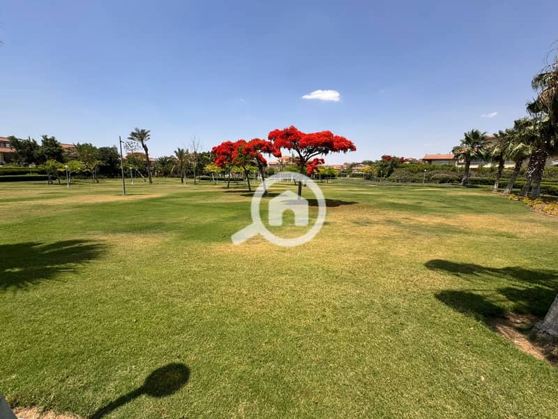 6 5aa1a078-237a-4232-8601-253b426bdf78. jpeg