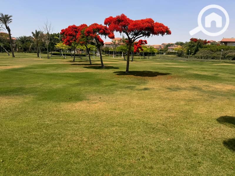 12 8e72c5aa-e5e3-4f87-a207-d42a72f1cc35. jpeg