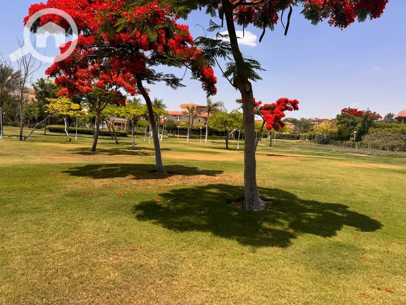 24 b2b80701-c6d8-4105-bd26-91247172ccf2. jpeg