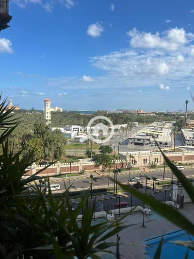 فلیٹ 2 غرفة نوم للبيع في المنتزه، الإسكندرية - WhatsApp Image 2025-12-02 at 13.55. 22 (1). jpeg