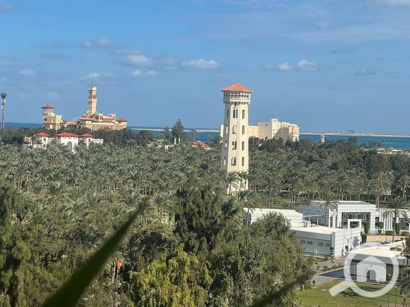 2 WhatsApp Image 2025-12-02 at 13.55. 22. jpeg