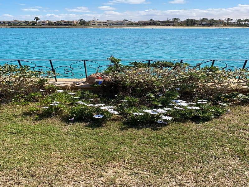 9 93d8cd4a-0c40-4978-baa0-1df30acb0ec5. jpg