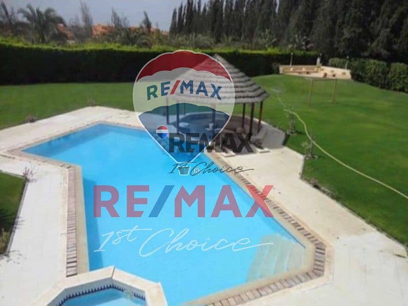 2 c08635da-6be0-4409-9fdb-ec82652066e9. jpg