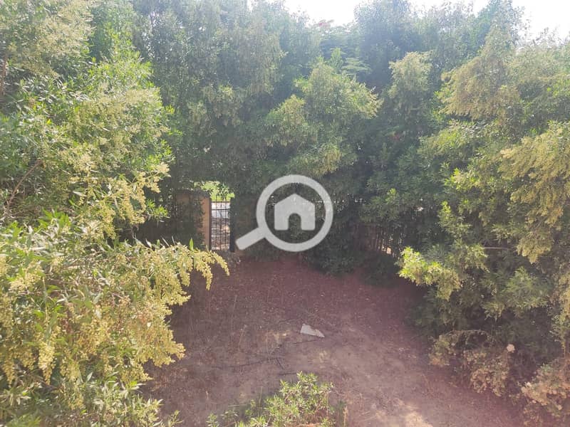 11 cb54f6df-97be-47a8-8fa8-6e05d0538268. jpg