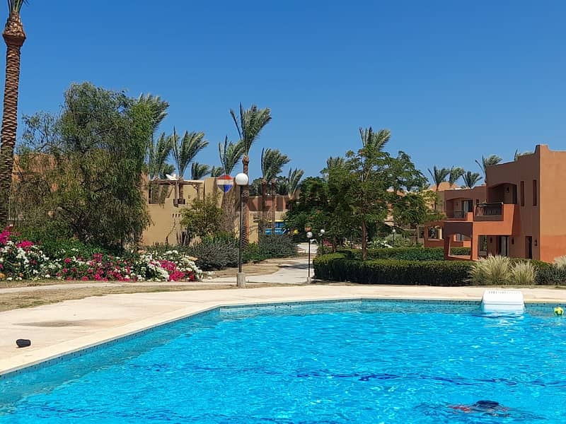 7a1c3c4c-26c9-492e-9dea-f15e14f45a60. jpg 7a1c3c4c-26c9-492e-9dea-f15e14f45a60. jpg