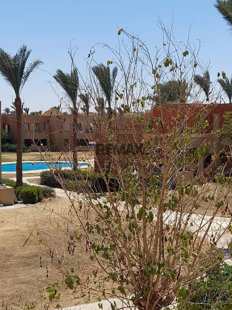 3 662d9333-1602-446c-8dfb-66f04a8246b3. jpg