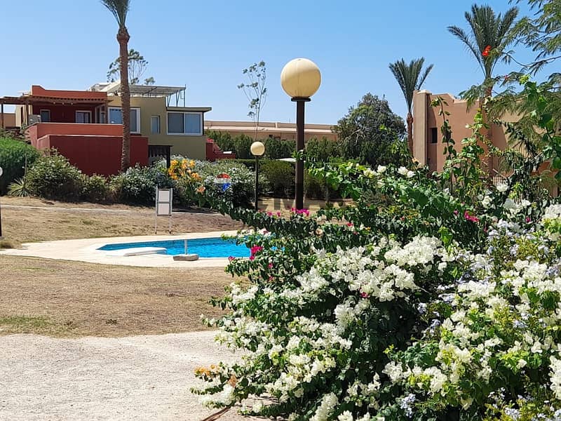 4 858e4c4e-900b-4240-8ca6-16bdf1e73472. jpg