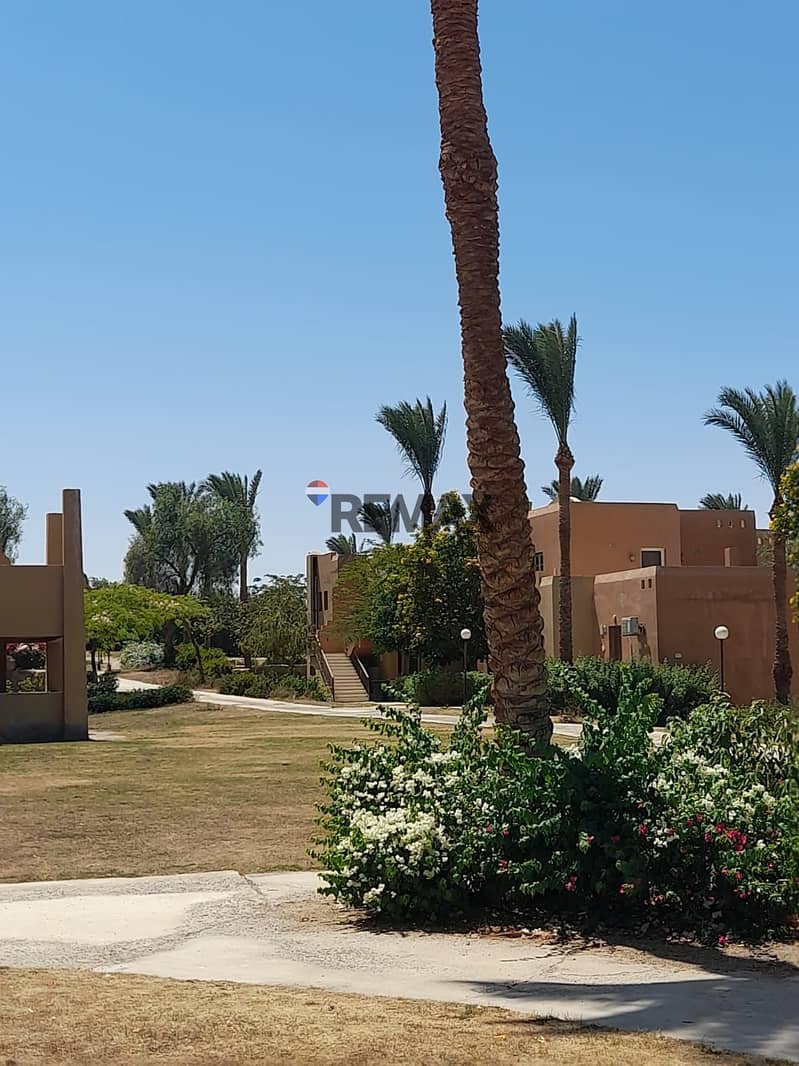 8 50d72ed8-aa17-4c34-aba2-abc3a4a69e2e. jpg